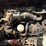 2020-bobcat-s740-image-14