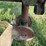 farmall-f-20-"duckbill"-project-image-4