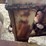 fordson-roller-image-38