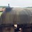 fordson-roller-image-37