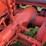 allis-chalmers-model-b-image-42