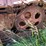 cletrac-adh-image-26