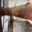 fordson-roller-image-83