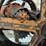fordson-roller-image-33