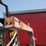 #53845-•-46"-crane-forks-inv#53845-image-7