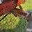 1976-allis-chalmers-7080-image-16