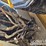 2019-caterpillar-336-image-33