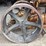 fordson-roller-image-92