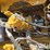 2019-caterpillar-336-image-42