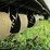 #53858-•-2017-chameleon-canvas-side-&-top-truck-box-1447214-inv#53858-image-6