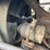rumely-doall-image-59
