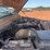 2006-dodge-3500-image-13