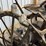 fordson-image-22