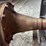 fordson-roller-image-85