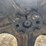 fordson-roller-image-97