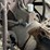 fordson-image-20