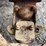 fordson-roller-image-78