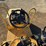 caterpillar-cb24-image-19
