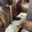fordson-roller-image-84