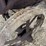 fordson-image-9