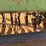 john-deere-8300-image-11
