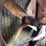 fordson-roller-image-69