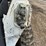 2018-bobcat-s570-image-12