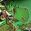 john-deere-853a-image-12