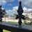 2026-greatbear-20ft-bi-parting-iron-gate-cow-style-image-6