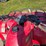 yamaha-bruin-350-image-4