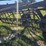 new-holland-55-image-6