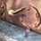 fordson-roller-image-63