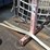#53845-•-46"-crane-forks-inv#53845-image-3