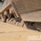 2019-caterpillar-336-image-18