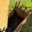 ford-backhoe-image-10