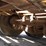 1968-hyster-trailer-image-18