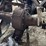 fordson-image-25