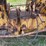 allis-chalmers-u-image-37