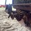 fordson-roller-image-32