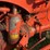 allis-chalmers-model-b-image-47