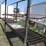 #53878-•-185"x2'-catwalk-inv#53878-image-6