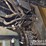 2019-caterpillar-336-image-32