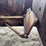 fordson-roller-image-88