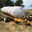 #54403-•-1600gal-t/a-nurse-trailer-inv#54403-image-2
