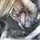 2013-global-m4-image-17