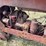 gibson-image-41