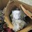 #53852-•-pallet-of-truck-pto's,-wire-&-other-truck-related-items-inv#53852-image-6