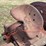 gibson-image-24