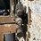 2006-bobcat-t300-image-11
