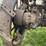 rumely-doall-image-35